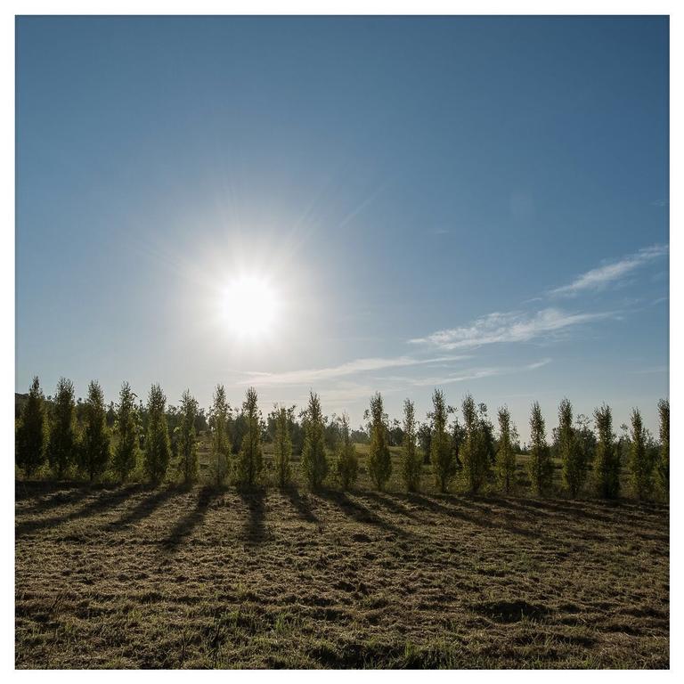 Agriturismo La Torricella Пистоя Екстериор снимка