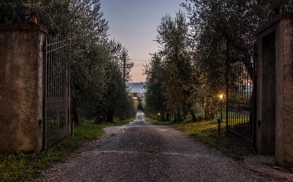 Agriturismo La Torricella Пистоя Екстериор снимка