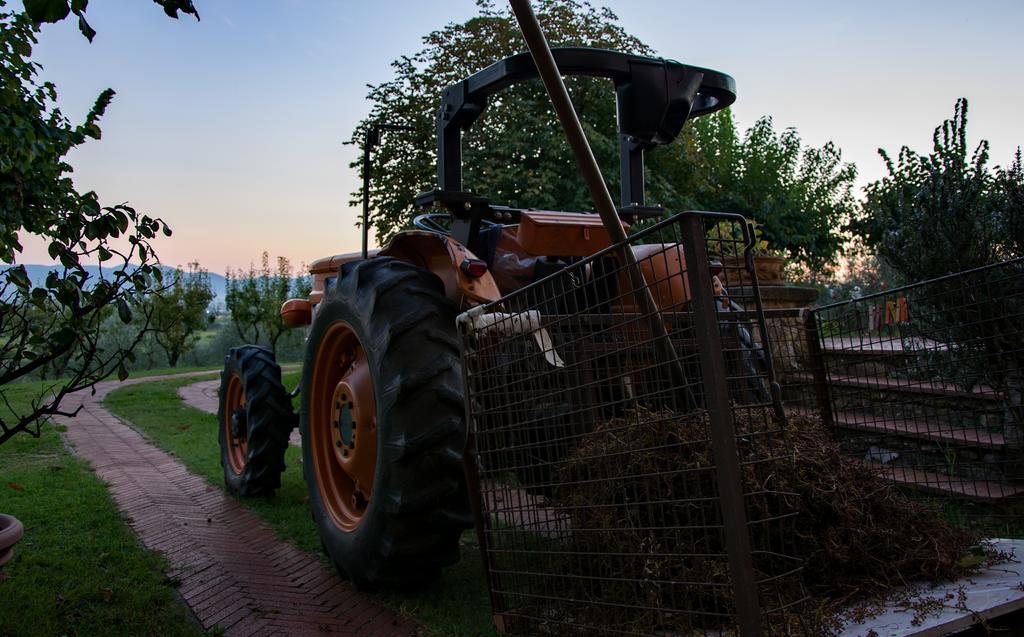 Agriturismo La Torricella Пистоя Екстериор снимка