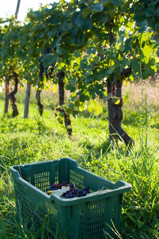 Agriturismo La Torricella Пистоя Екстериор снимка